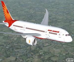 Puzzle Air India αποτελεί την κύρια αεροπορική εταιρεία της Ινδίας